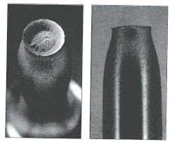 Immagine della domanda 317